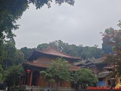 -都江堰普照寺