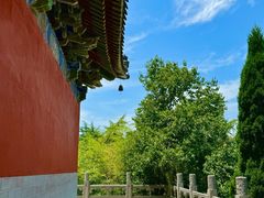 -洛阳白马寺