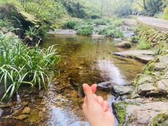 -天目湖山水园