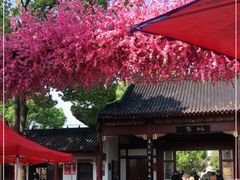 -南汇桃花村