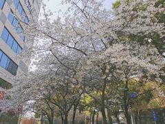 -玛格萝妮比萨屋(四平店)