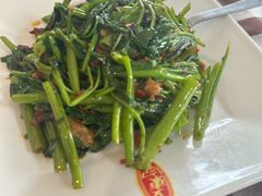 -文东记(马里士他路)