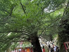 -大慈岩风景区