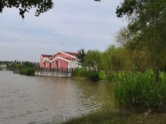 -上海长兴岛郊野公园