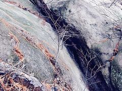 -崂山巨峰游览区