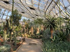 -北京植物园-展览温室