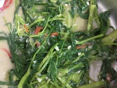 -广宁炭炉鸡煲·富临门饭店