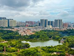 -安乐茶饭·手工素菜·高空景观餐厅(千灯湖店)