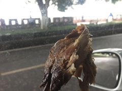 -婺嫣街田记·老嘉州甜皮鸭