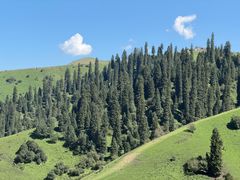-新疆那拉提国家旅游度假区