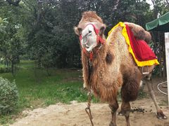 -西安秦岭野生动物园