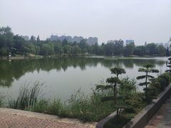 -渭滨公园