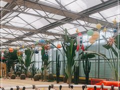 -南宫五洲植物乐园