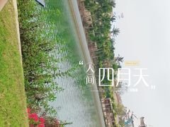 -海花岛旅游度假区