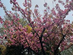-钟山体育运动公园