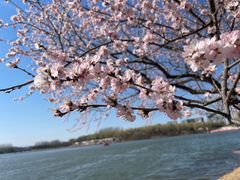 -大兴滨河森林公园