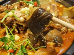 甲鱼土鸡锅-洪湘记川湘·甲鱼馆(四海凯悦美食广场店)