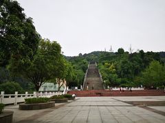 -铁山坪森林公园