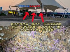 -巧克力渔家.小船海鲜胶东菜(万平口店)