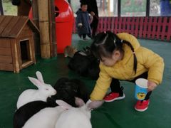 -黄龙溪欢乐田园
