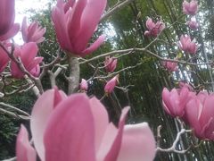 -桃花涧