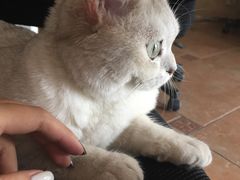 -青春加萌照相馆