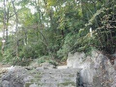 -龙井壹号·茶缘山景宴(龙井村店)