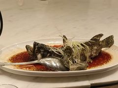 -珍呈中餐厅•粤川淮扬新疆(乌鲁木齐康莱德酒店)