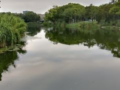 -新江湾城公园