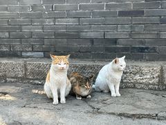 -云龙山