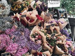 -The Grounds of Alexandria