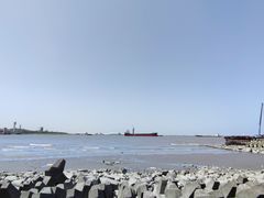 -上海滨江森林公园