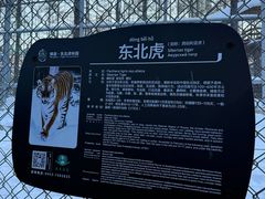 -横道河子东北虎林园