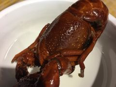 -洪福龙虾