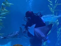 -常州海昌海洋探索馆