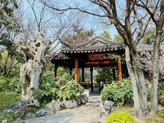 -巡塘古镇
