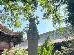 -西安碑林博物馆