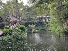 -广州兰圃