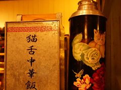 -猫咪博物馆(顶澳仔猫街店)