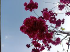 -乌山风景区