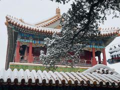 -故宫博物院(故宫)