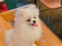 -the rug 飞毯 (朝阳公园店)