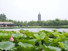 -西海子公园