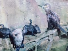 -哈尔滨波塞冬海底世界