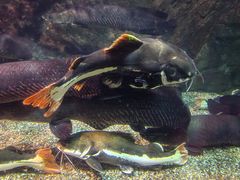 -太平洋海底世界