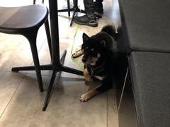 -NokNok Coffee(宽窄巷子店)