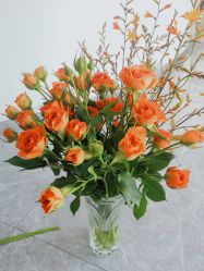 -加帕瑜伽培训学院