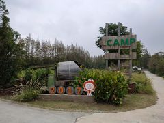 -上海长兴岛郊野公园