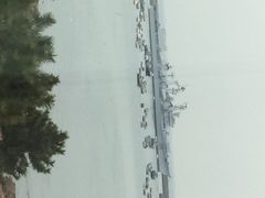 栈桥王子酒店(栈桥王子饭店)-老味道民宿(栈桥店)