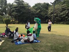 -王借岗森林公园